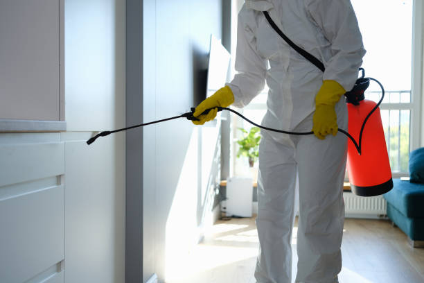 Best Best Mold Removal Companies  in Marina, CA