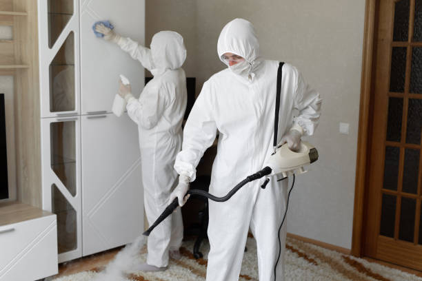 Best Attic Mold Removal  in Marina, CA