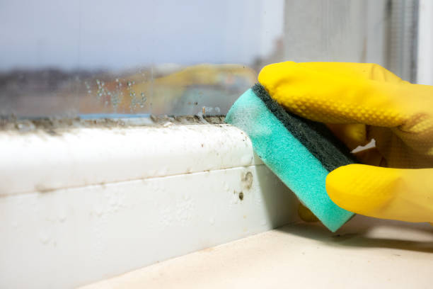 Best Mold Testing  in Marina, CA