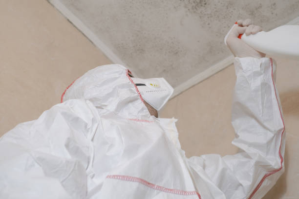  Marina, CA Mold Removal Pros