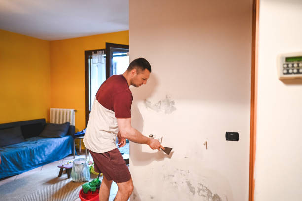Best Black Mold Removal  in Marina, CA